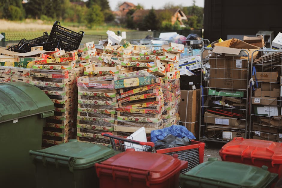 A large outdoor area features numerous stacks of empty cardboard fruit and vegetable boxes, predominantly white with colorful branding for fresh produce, arranged in multiple piles. To the left, there