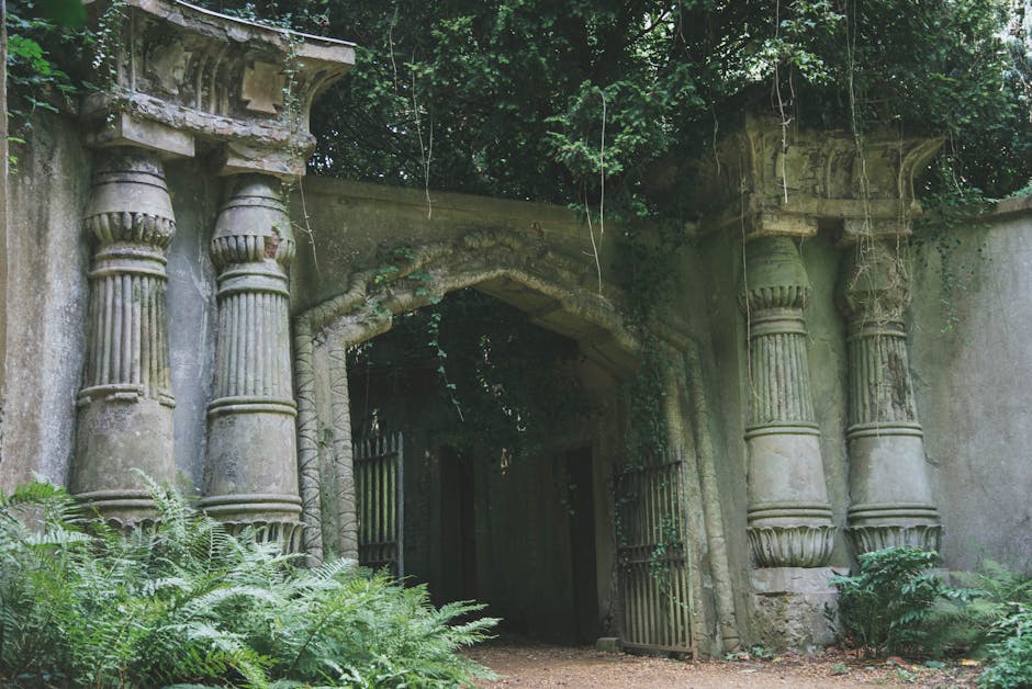 Fast bulky waste collection after Highgate Cemetery clearance